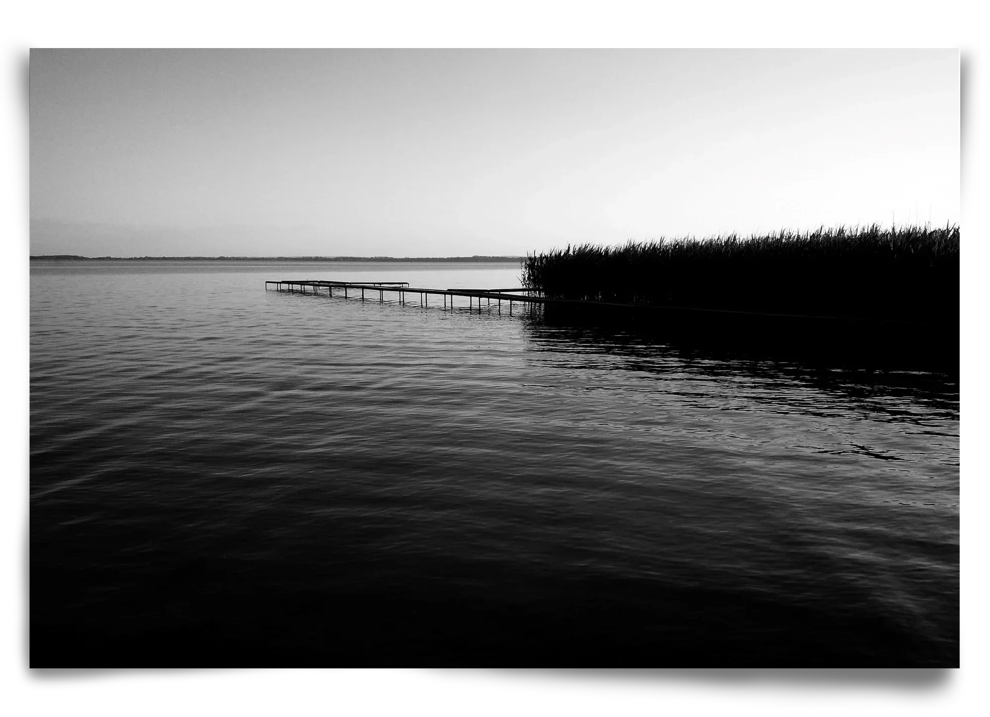 Nostalgia - artbridge
