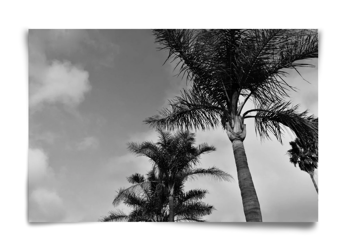 portfolio - artbridge
