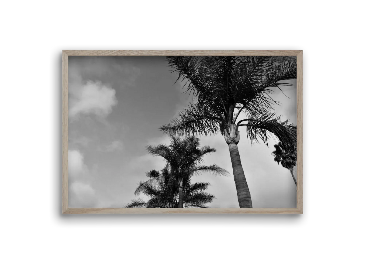 portfolio - artbridge