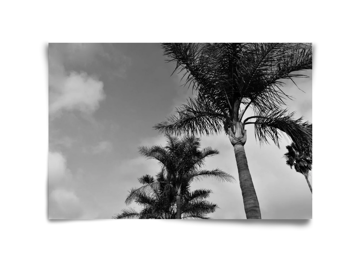 portfolio - artbridge