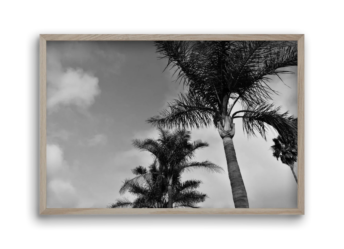 portfolio - artbridge