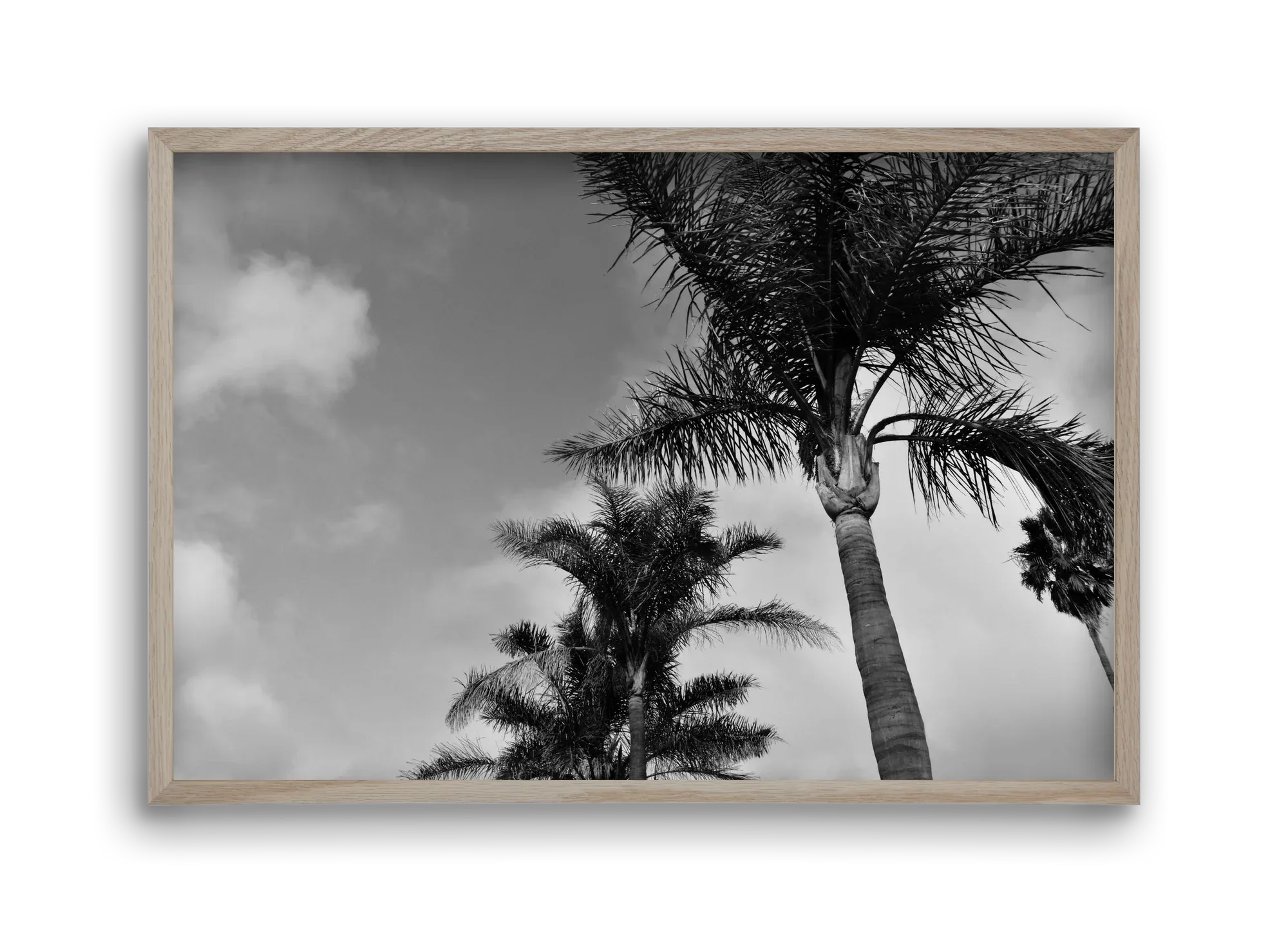portfolio - artbridge