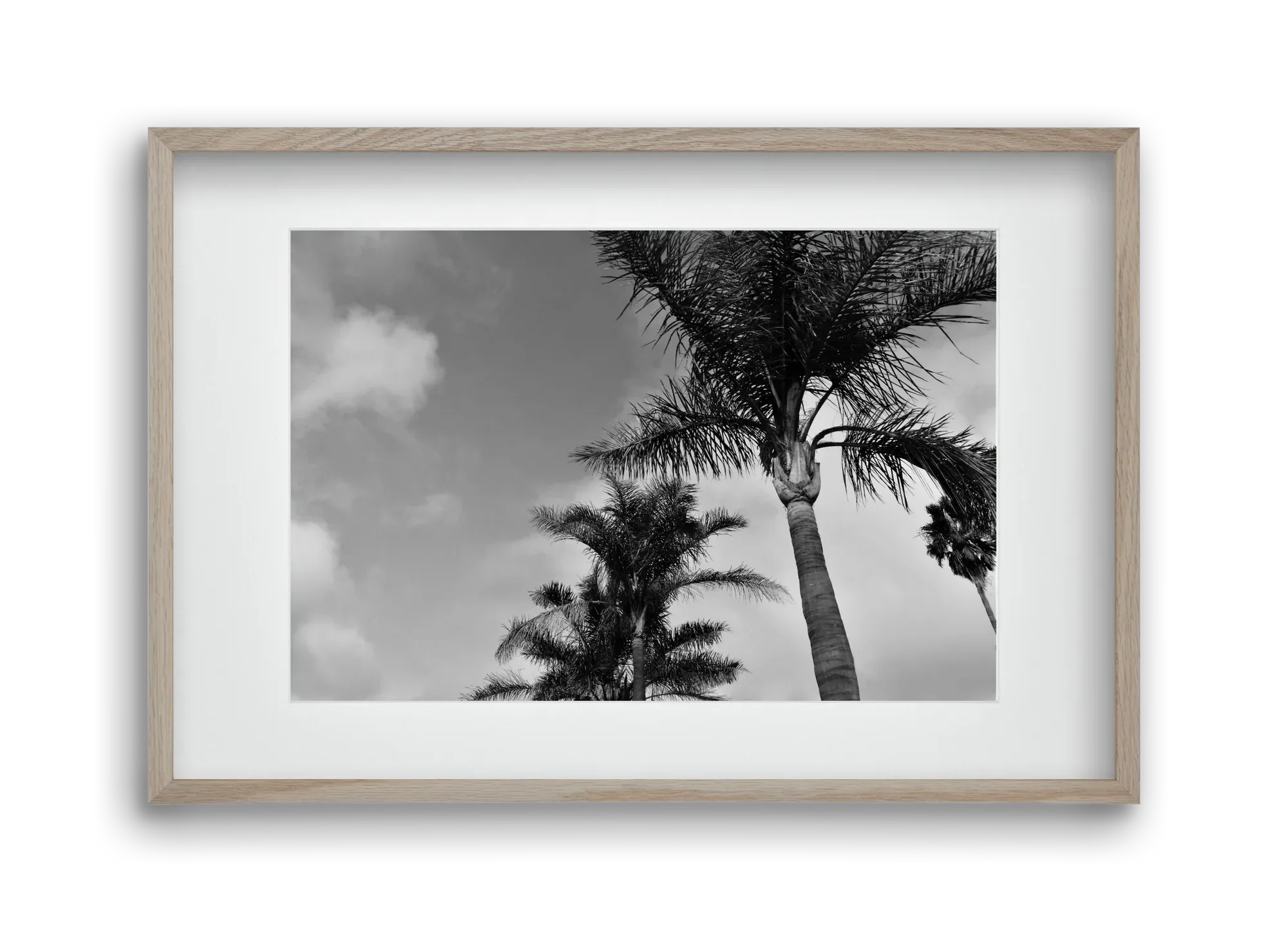 portfolio - artbridge