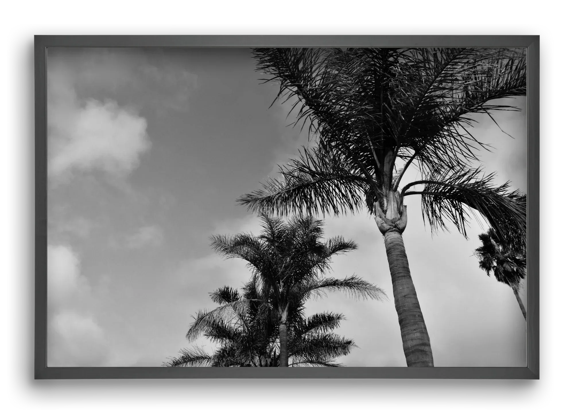 portfolio - artbridge