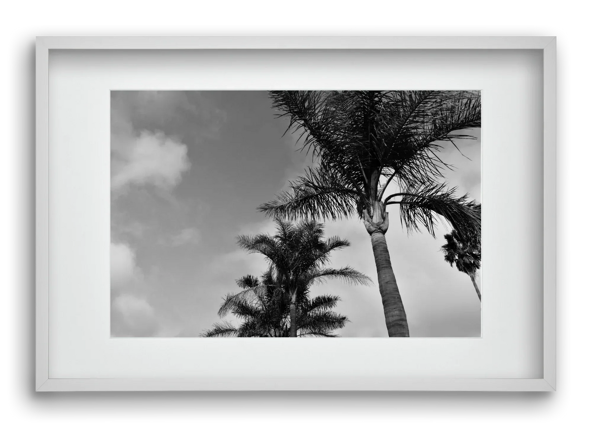 portfolio - artbridge