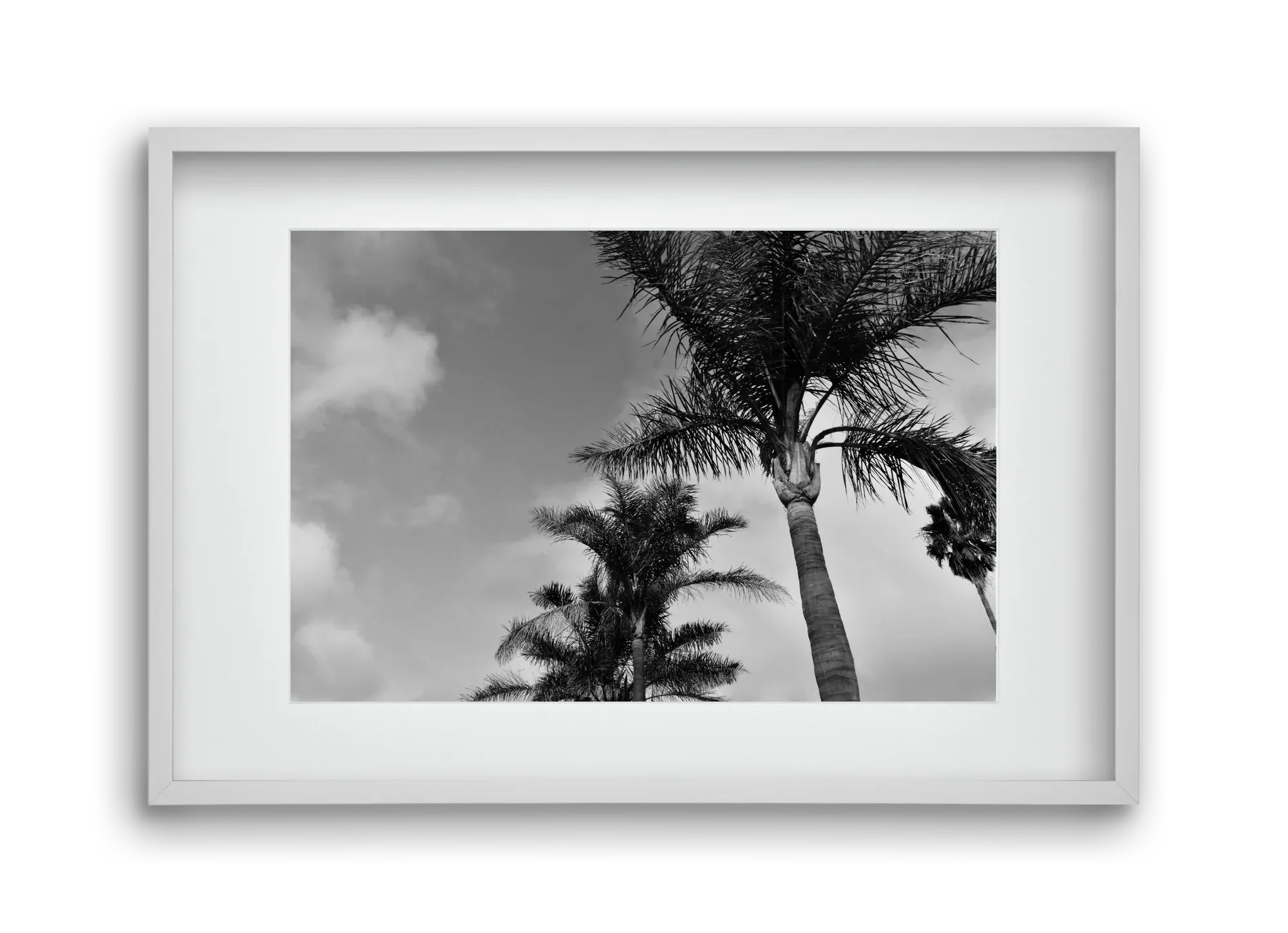 portfolio - artbridge