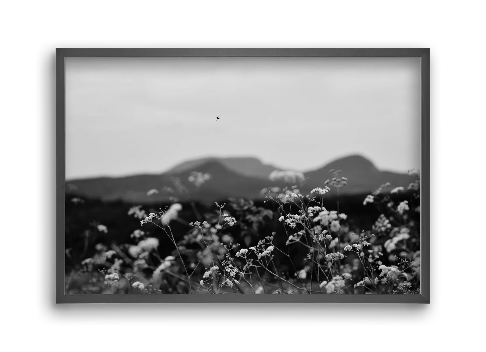 Low Giants - artbridge