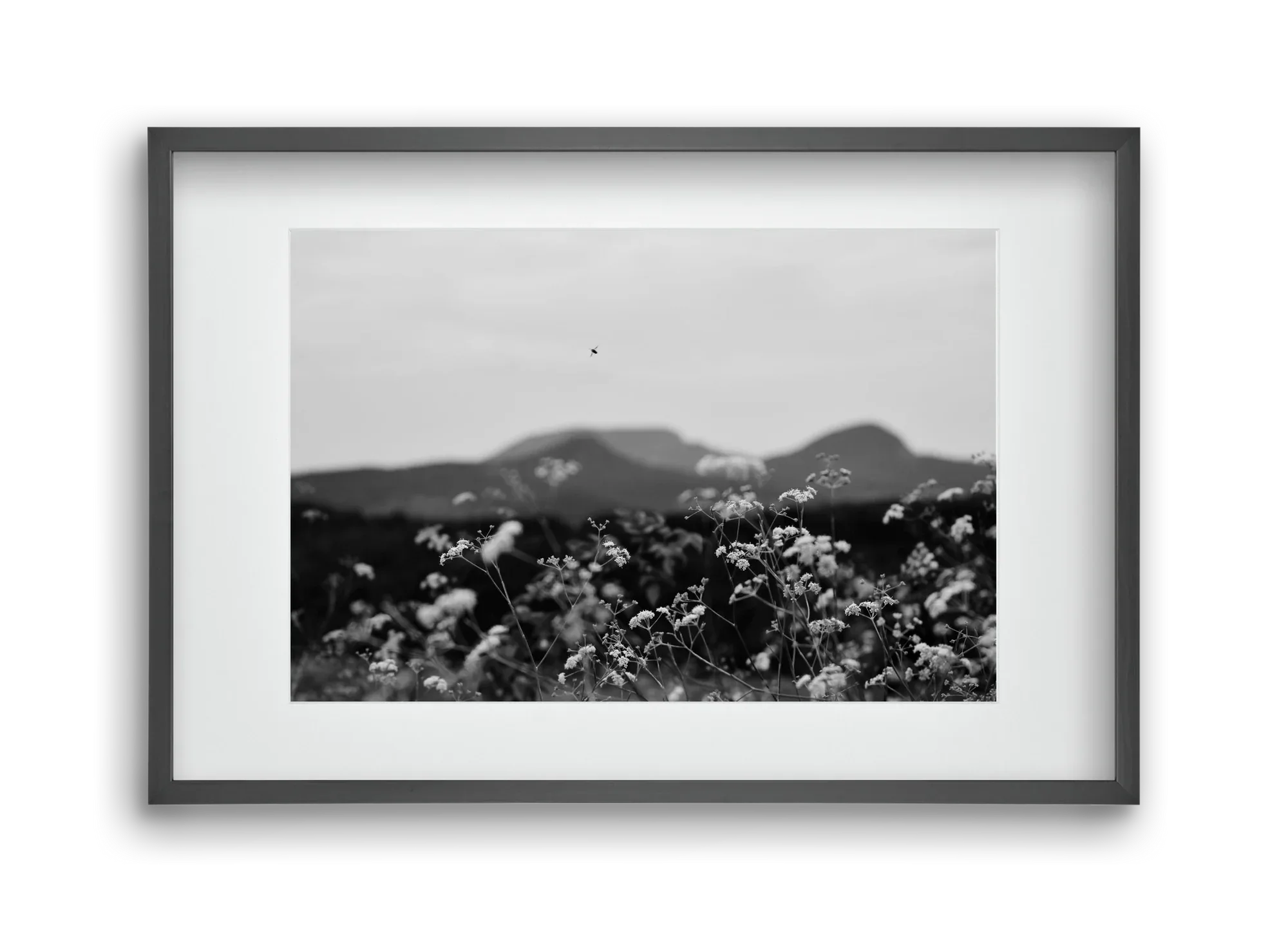 Low Giants - artbridge