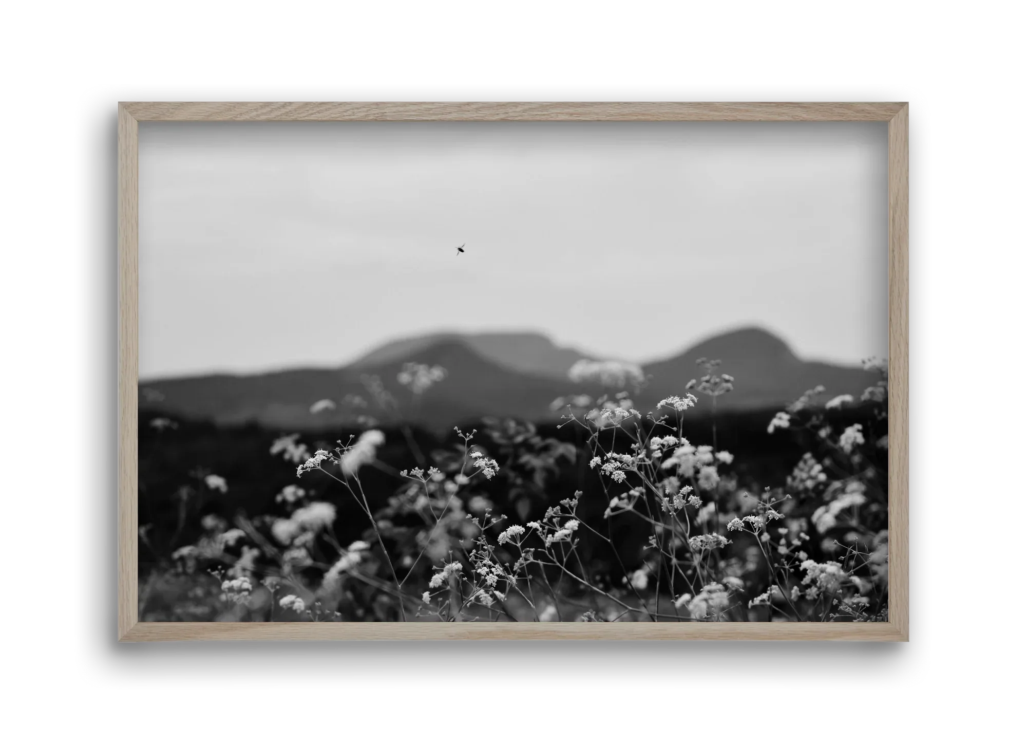 Low Giants - artbridge