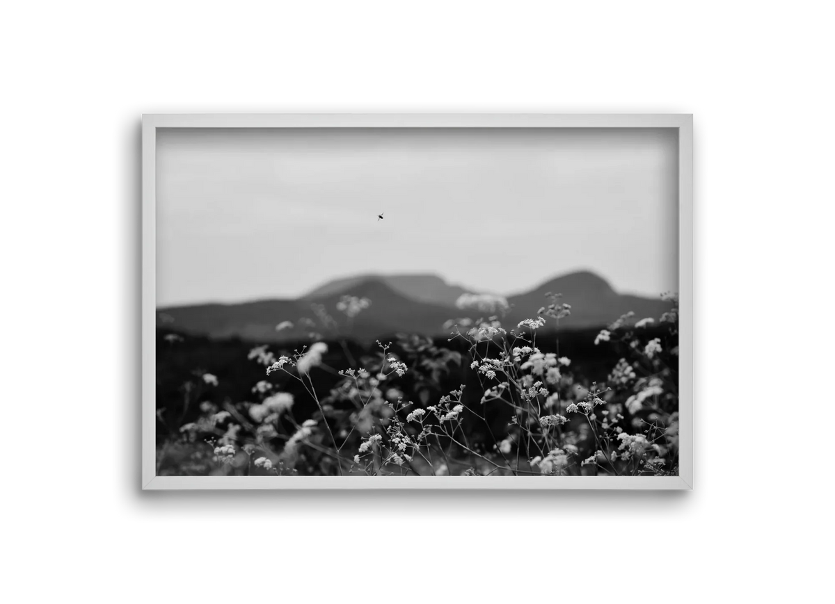 Low Giants - artbridge