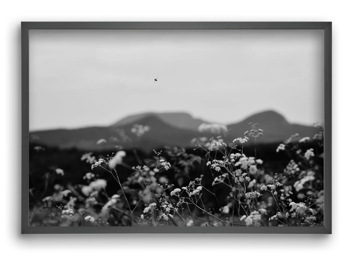Low Giants - artbridge
