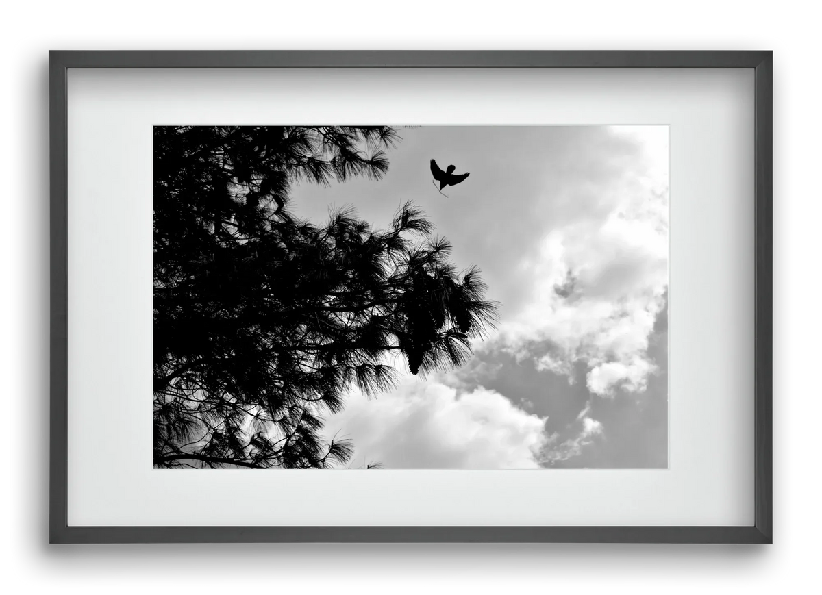 CARE - artbridge