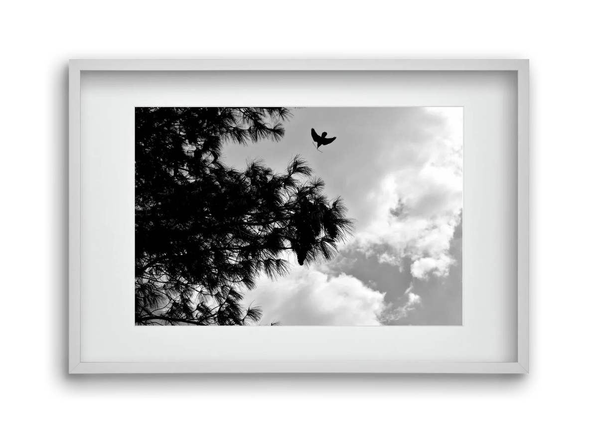 CARE - artbridge