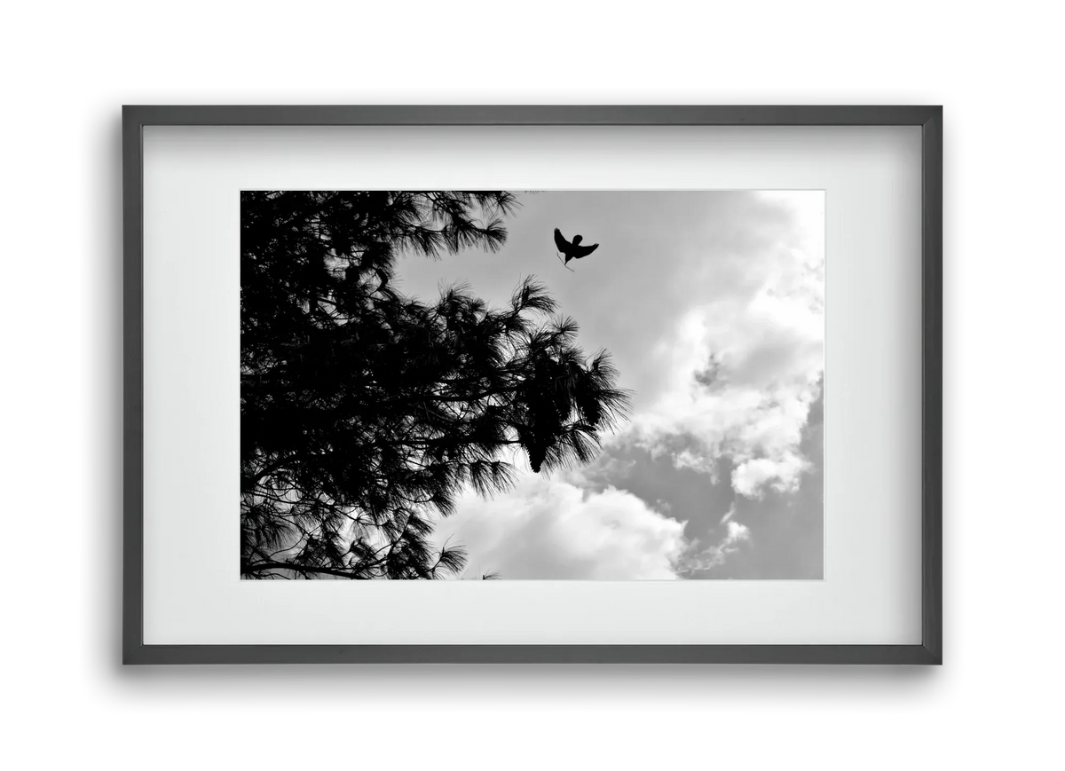 CARE - artbridge