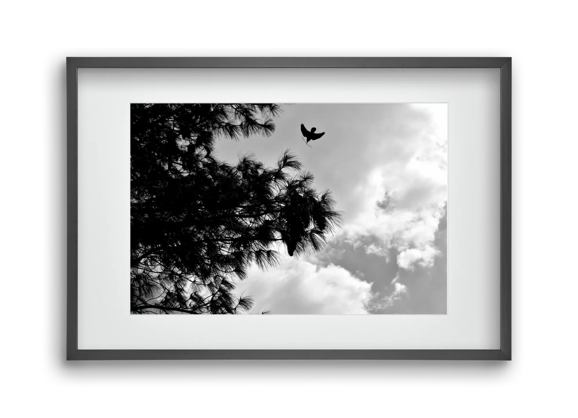CARE - artbridge