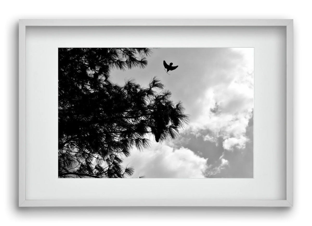 CARE - artbridge