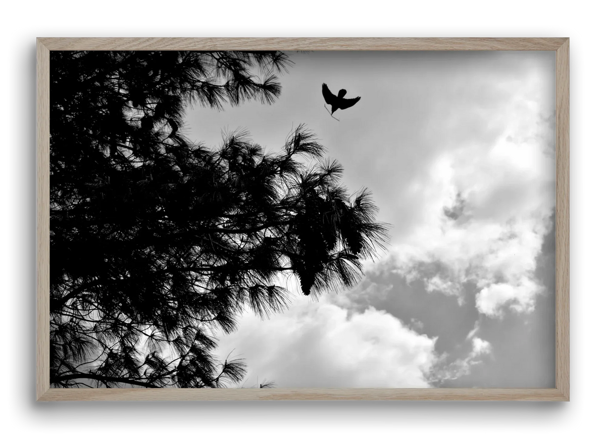 CARE - artbridge