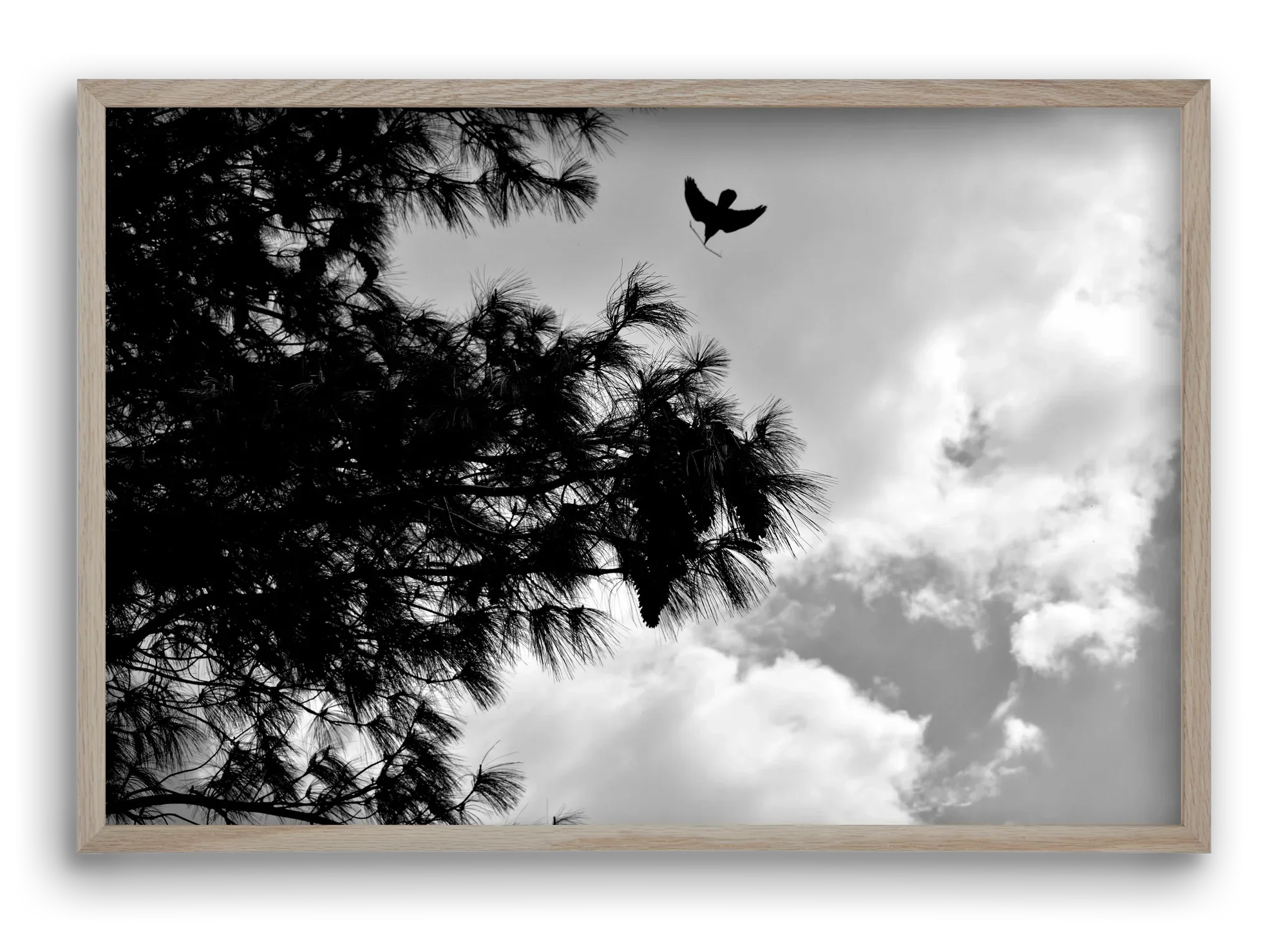 CARE - artbridge