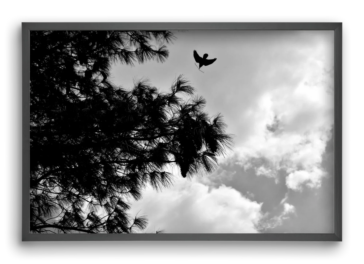 CARE - artbridge