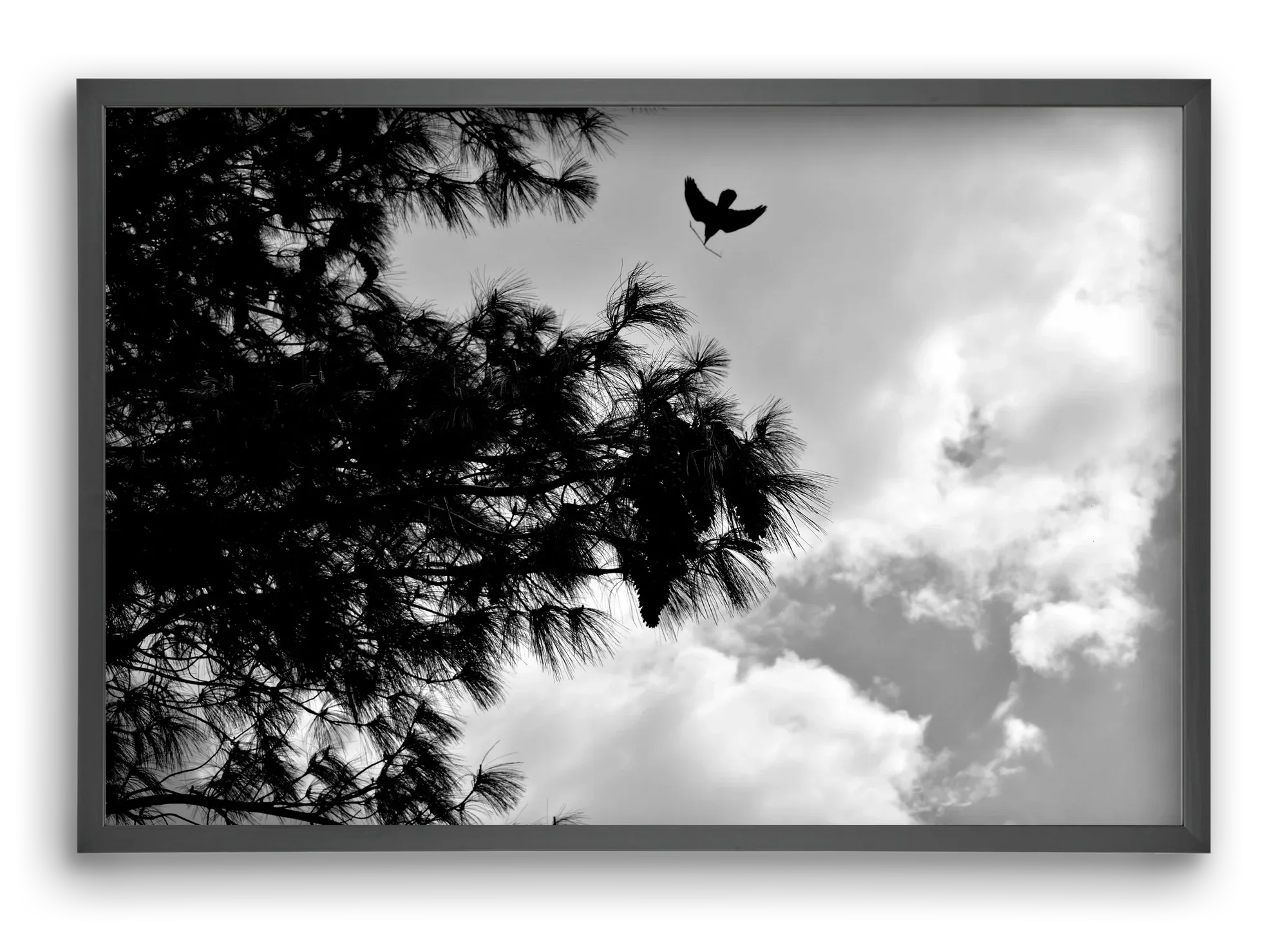 CARE - artbridge