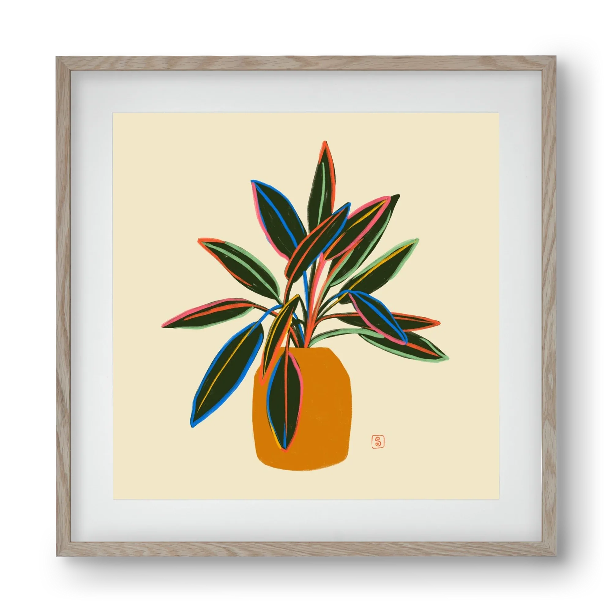 PLANT WITH COLOURFUL LEAVES - artbridge