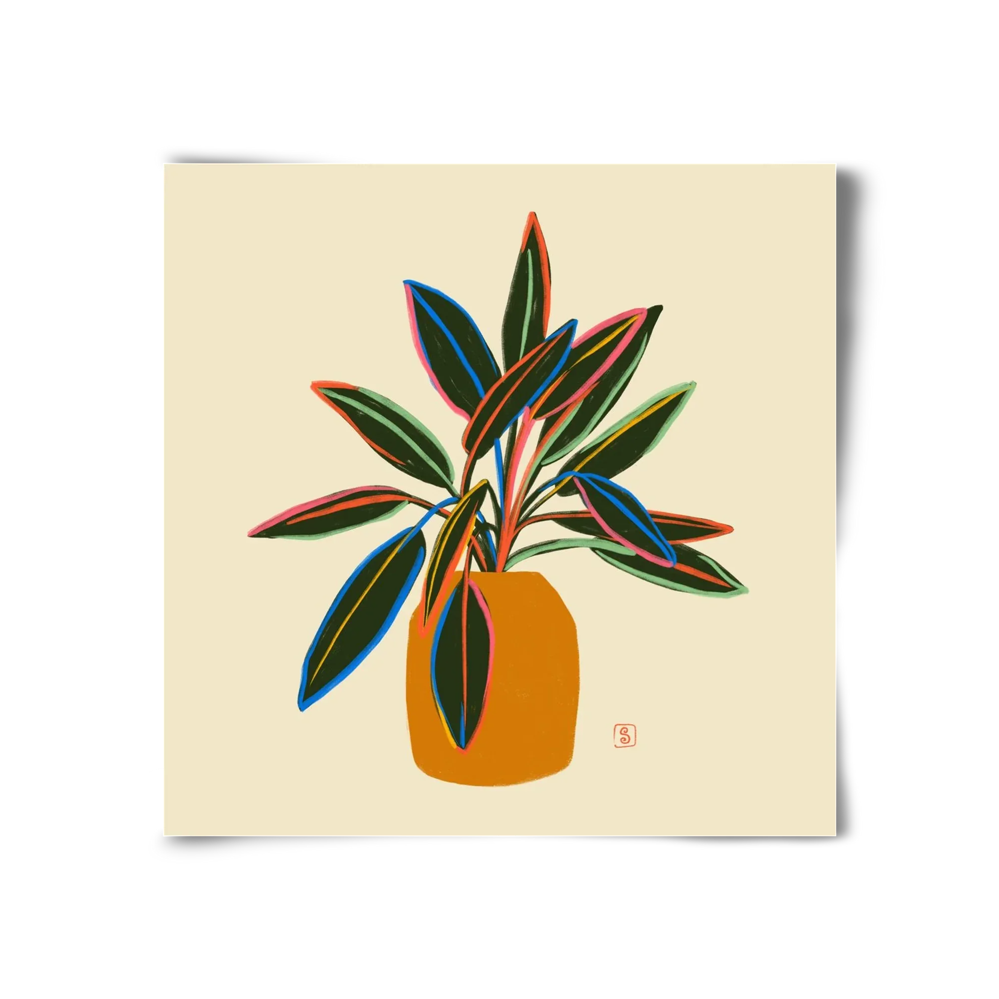 PLANT WITH COLOURFUL LEAVES - artbridge