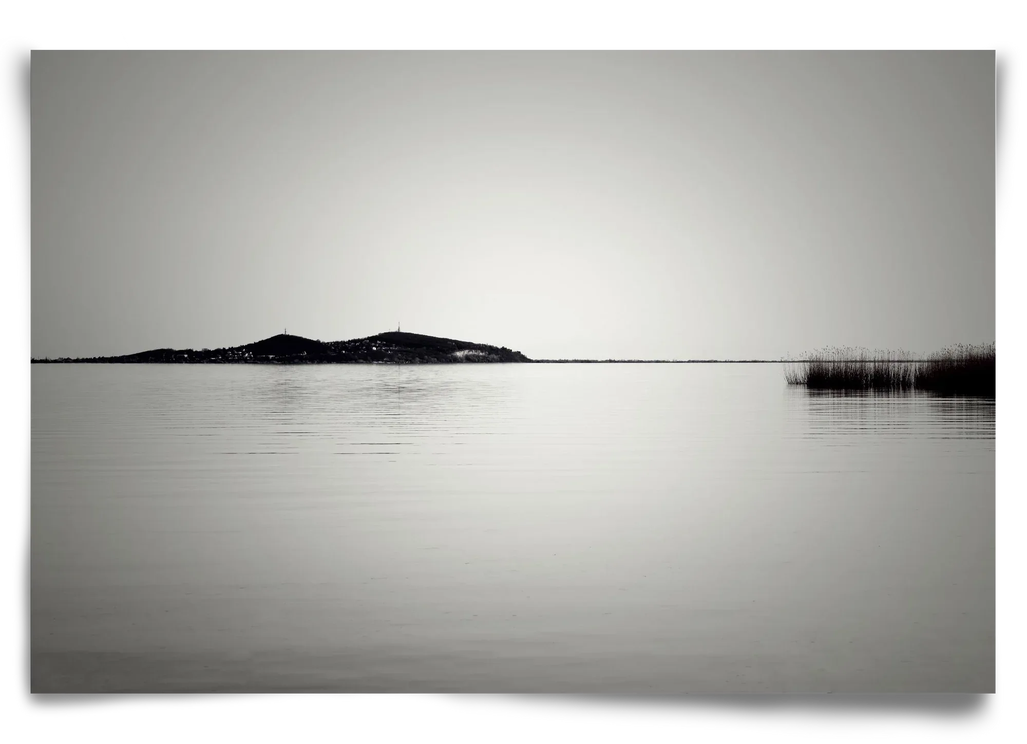 Balance - artbridge