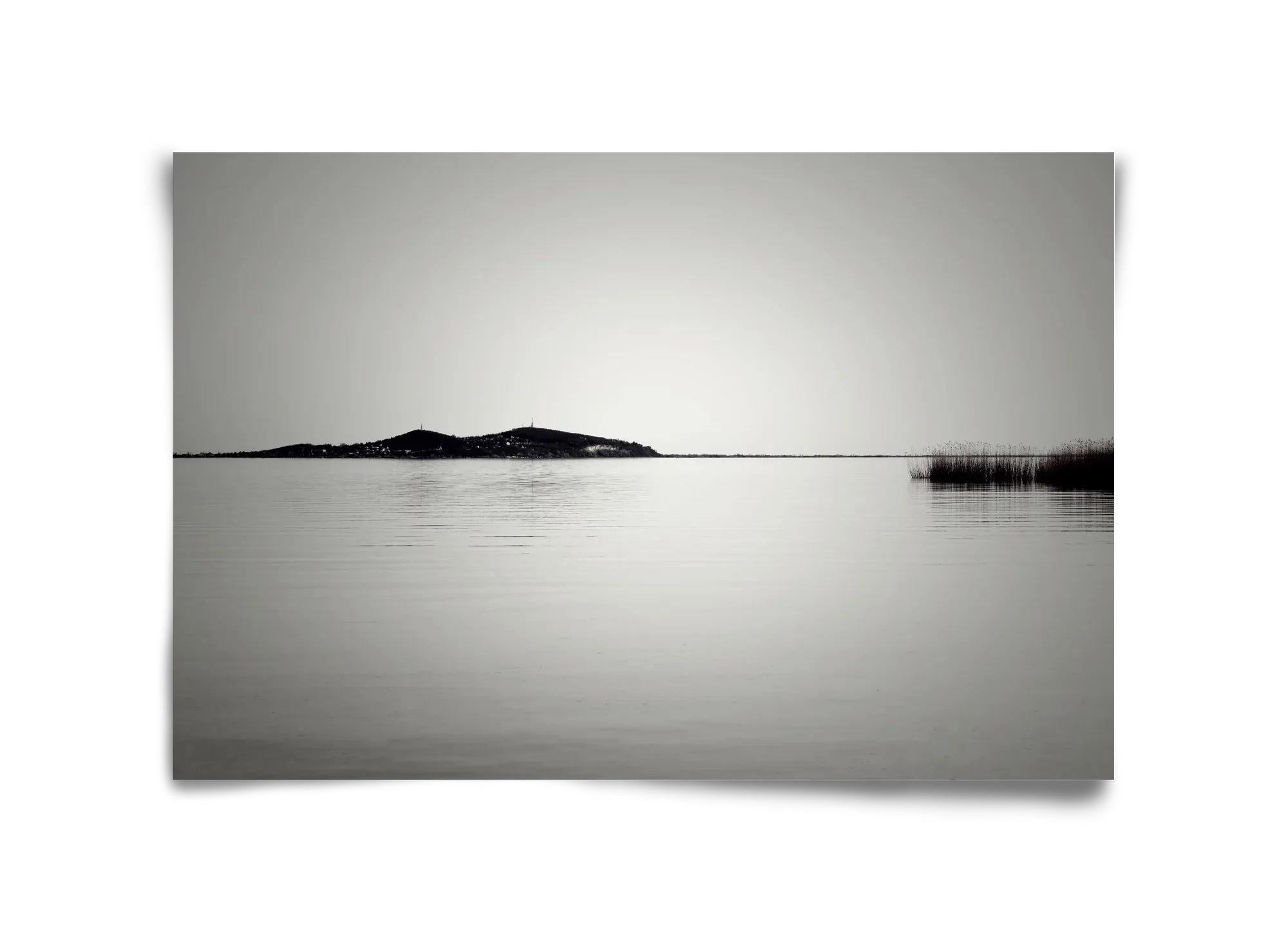 Balance - artbridge