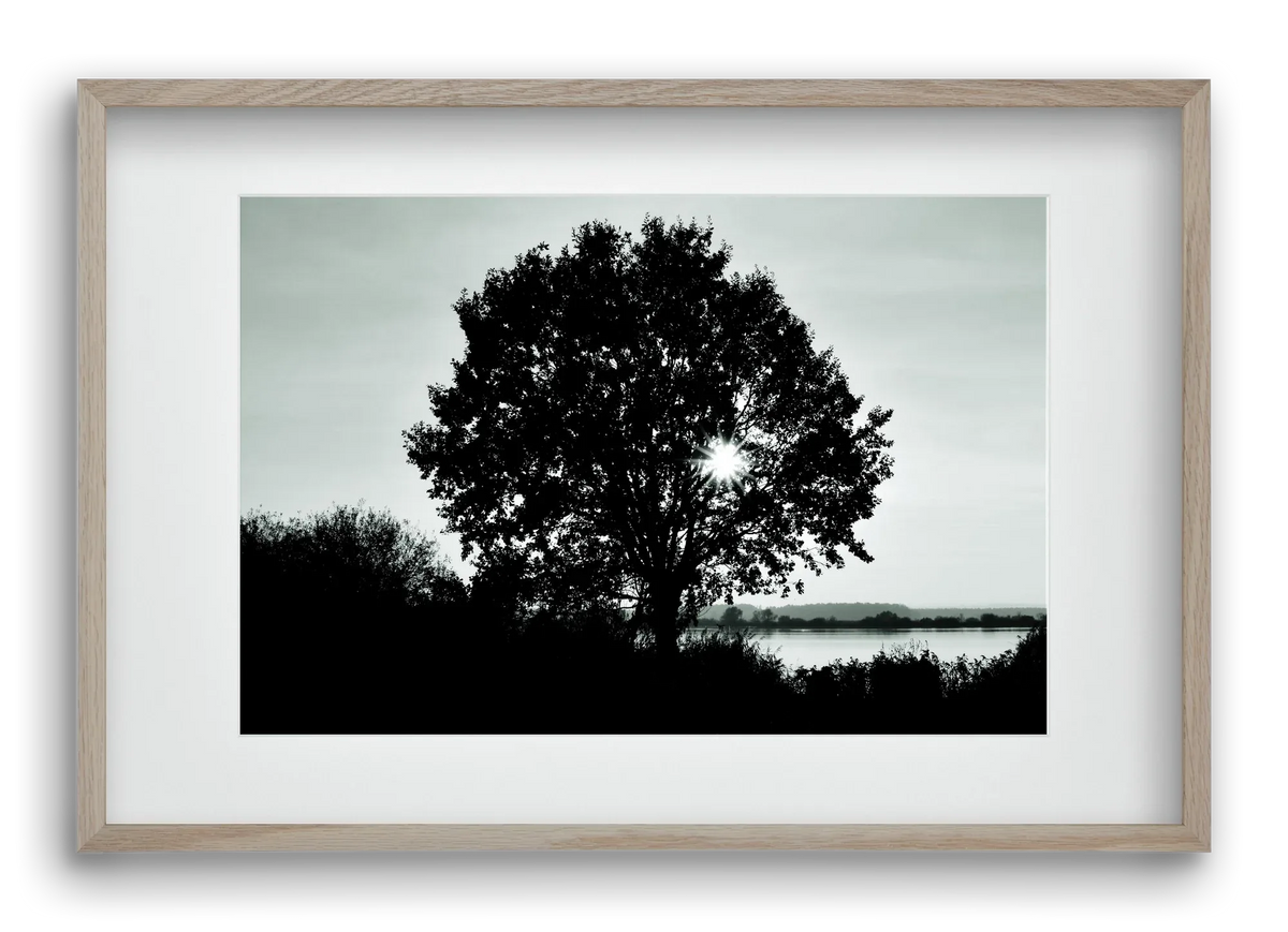 with heart - artbridge