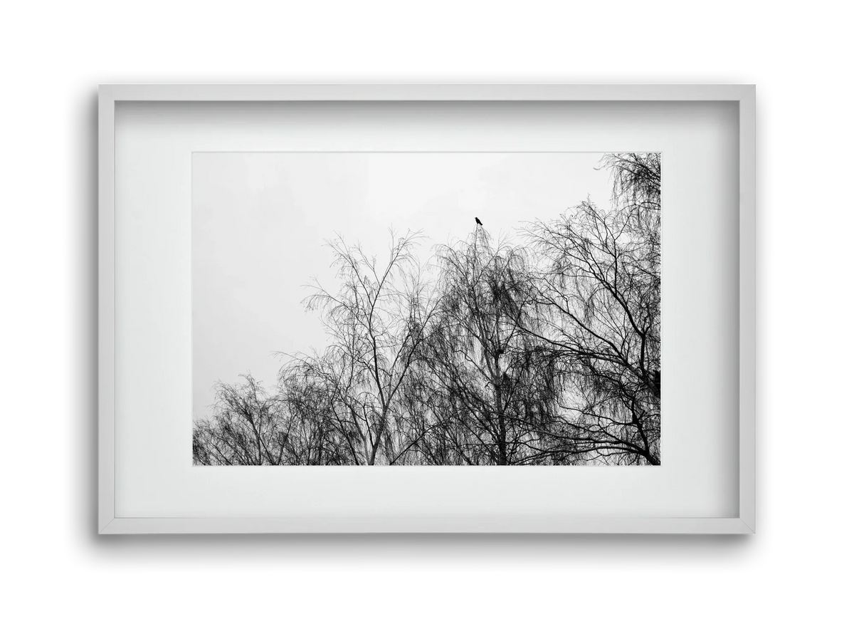 Poeta - artbridge