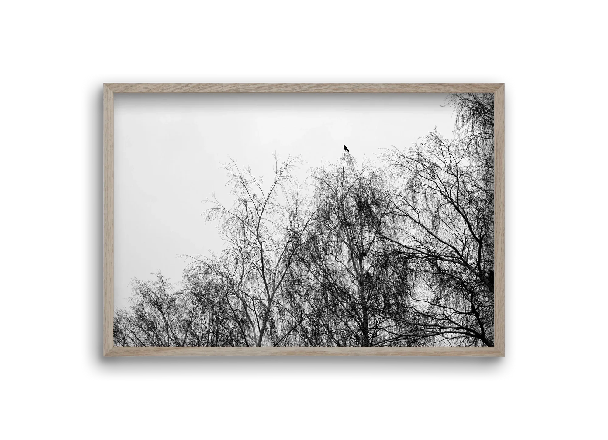 Poeta - artbridge
