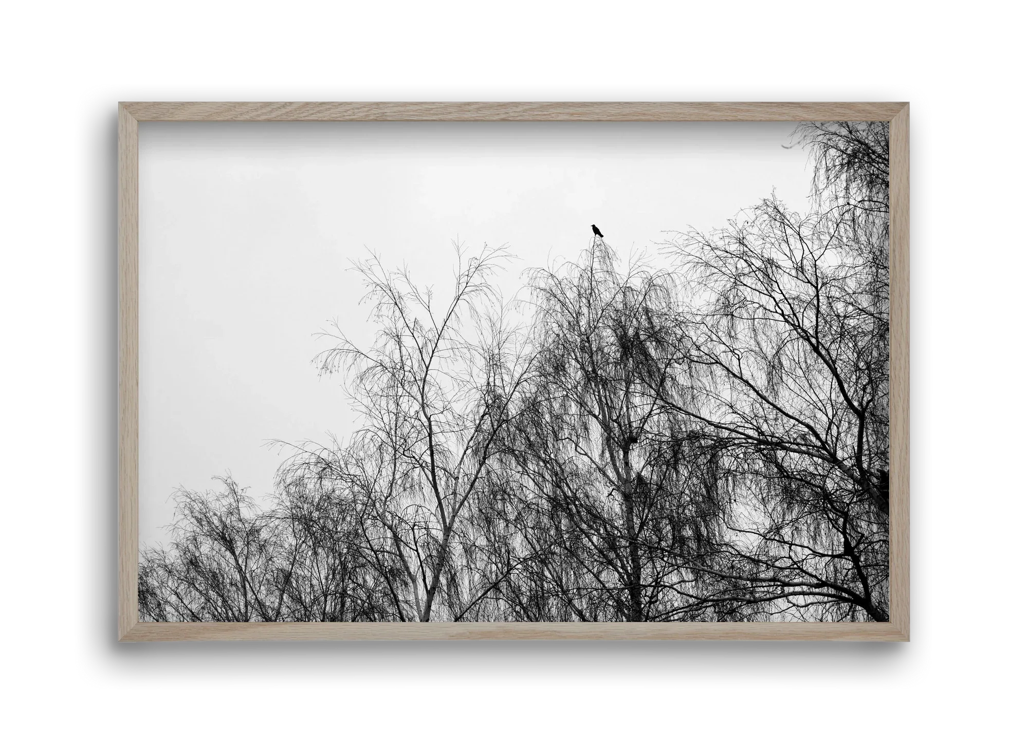 Poeta - artbridge