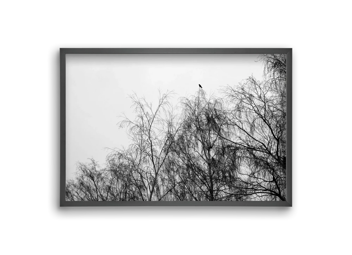 Poeta - artbridge