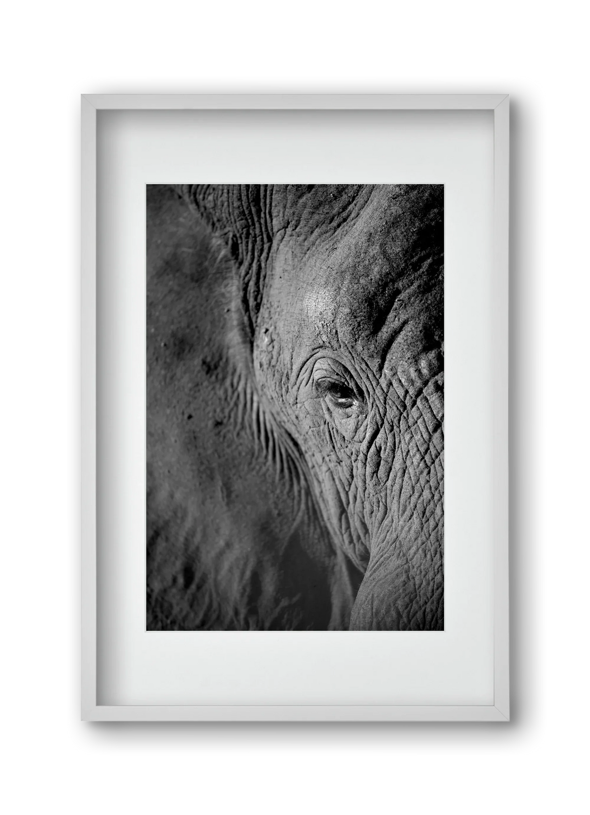 african dream - artbridge
