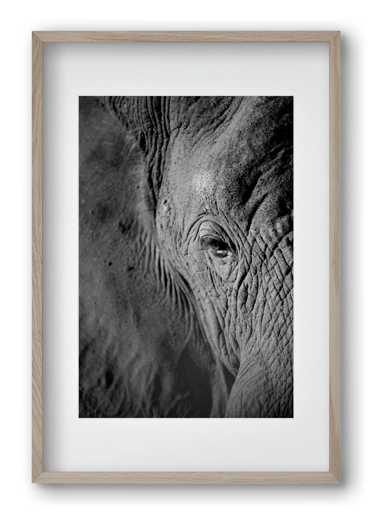 african dream - artbridge