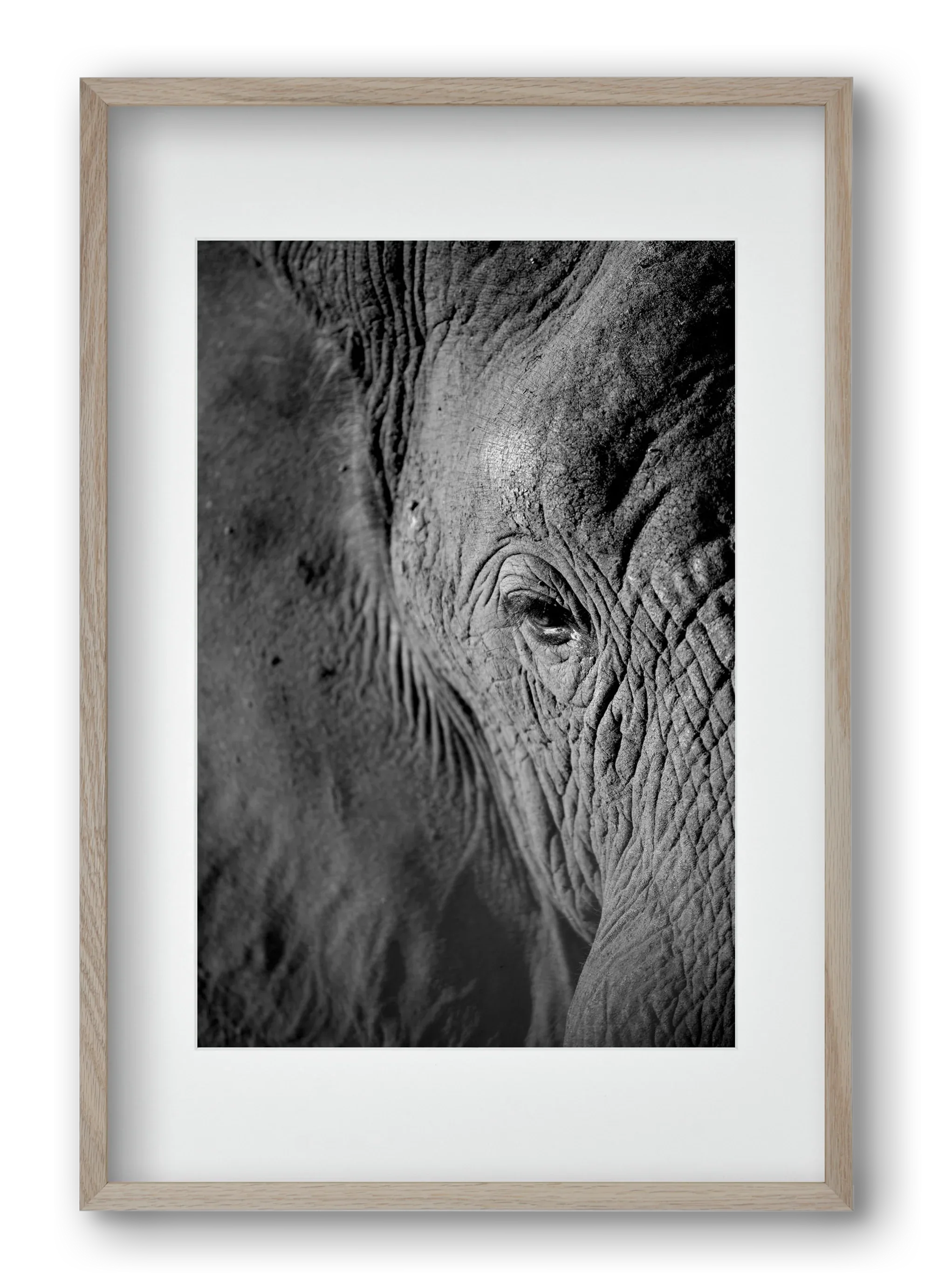 african dream - artbridge