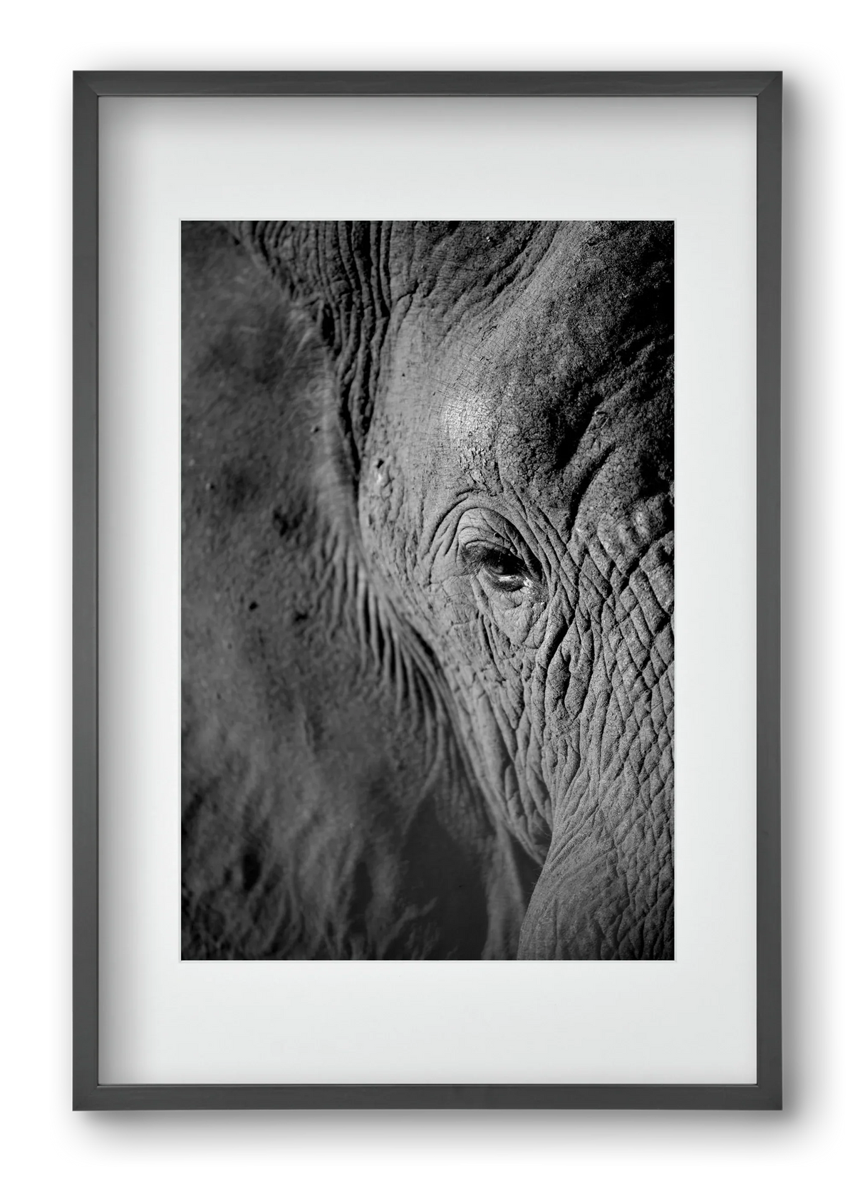 african dream - artbridge