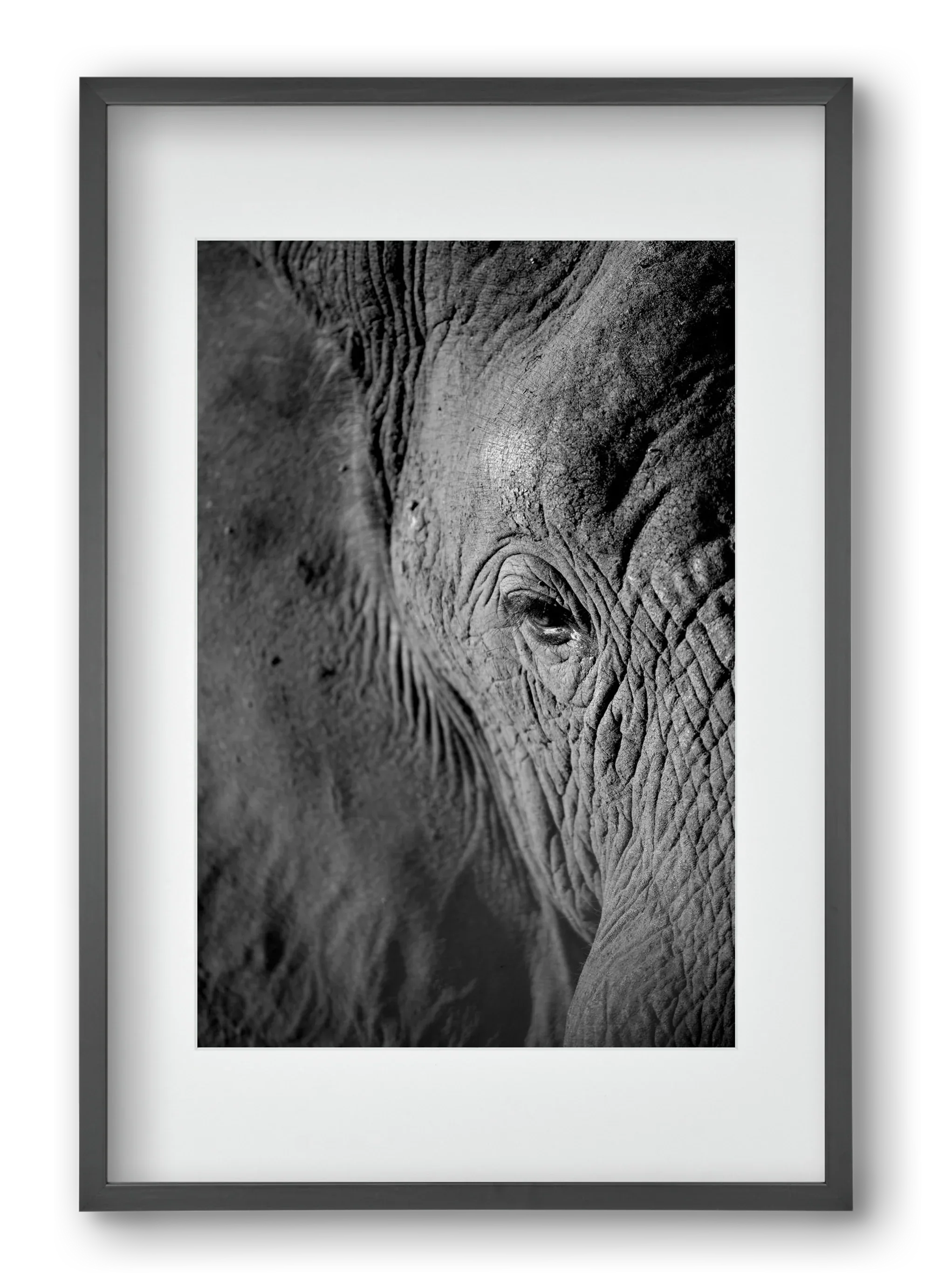 african dream - artbridge