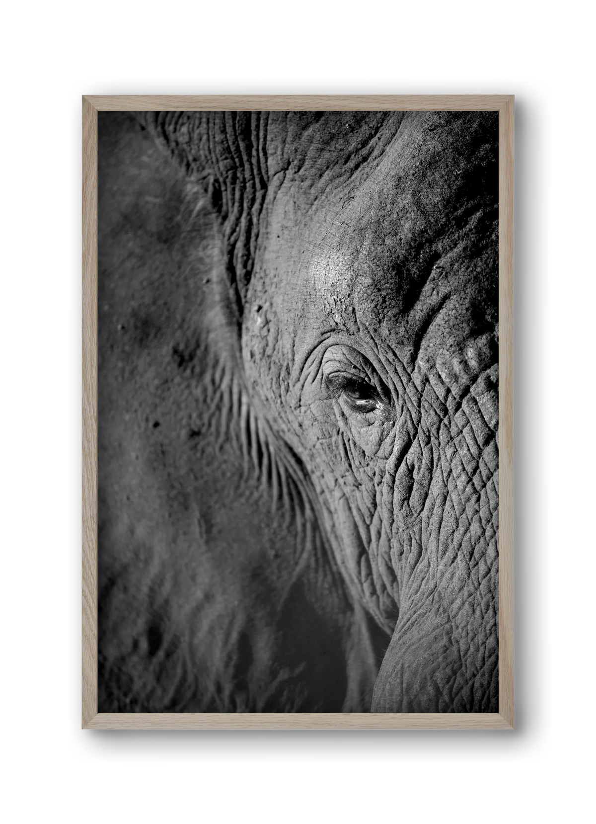 african dream - artbridge