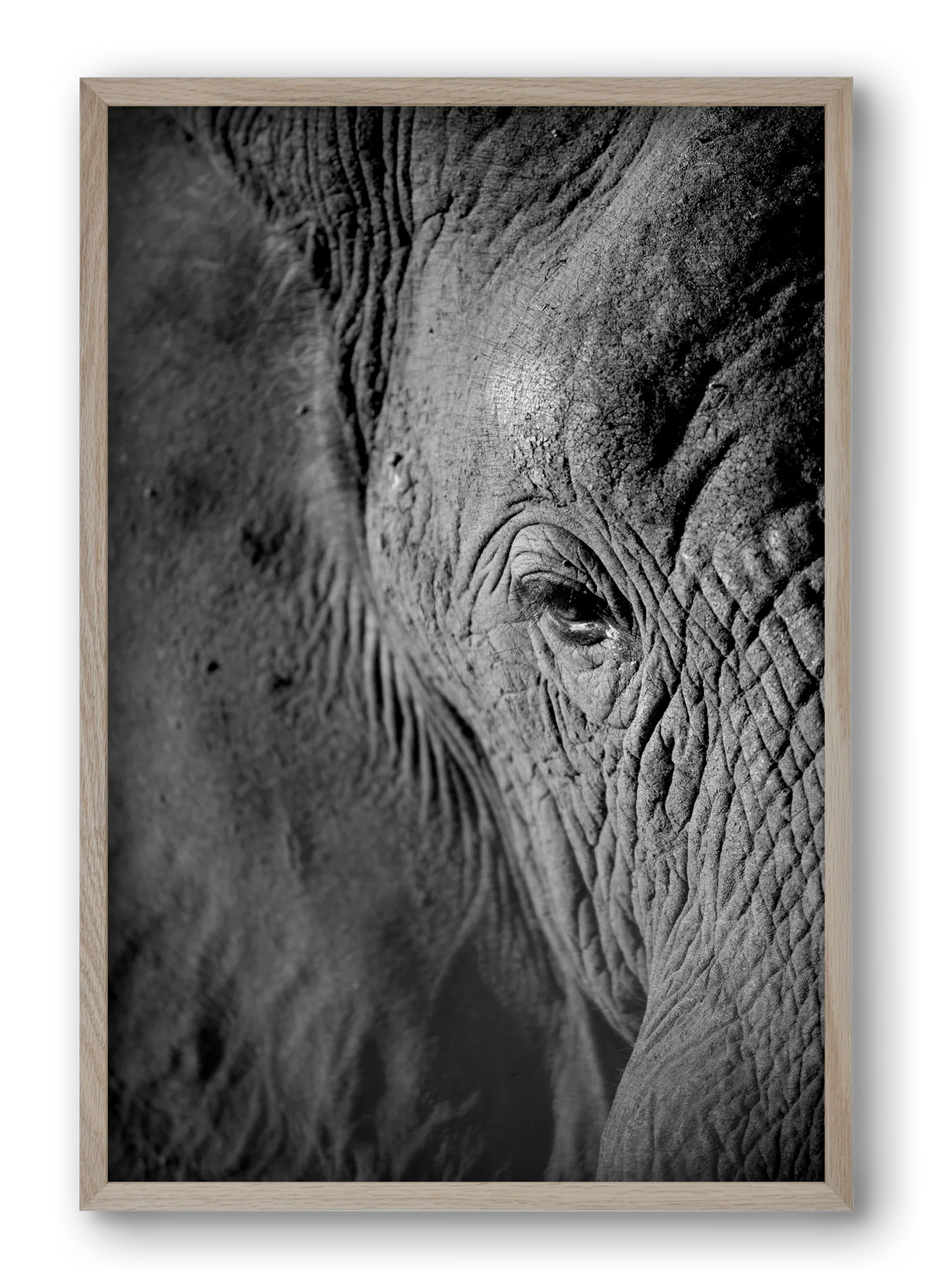 african dream - artbridge
