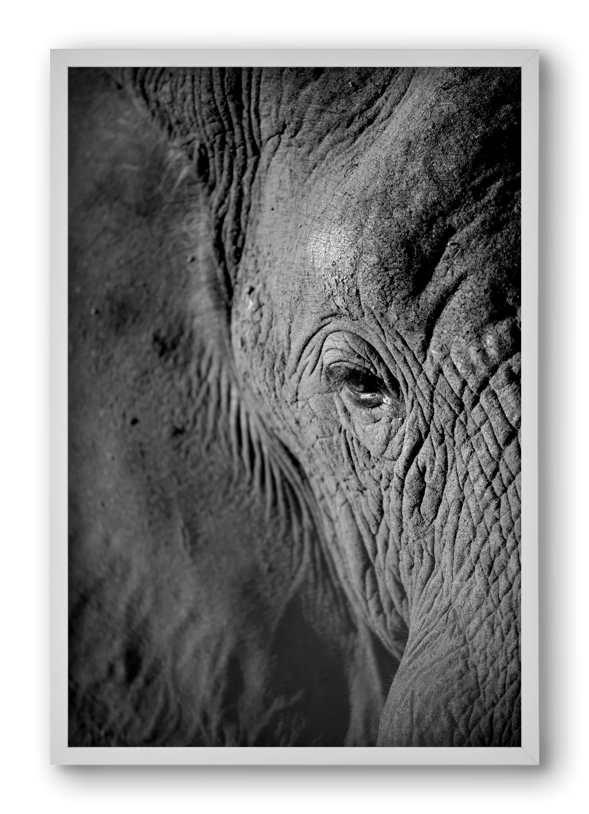 african dream - artbridge