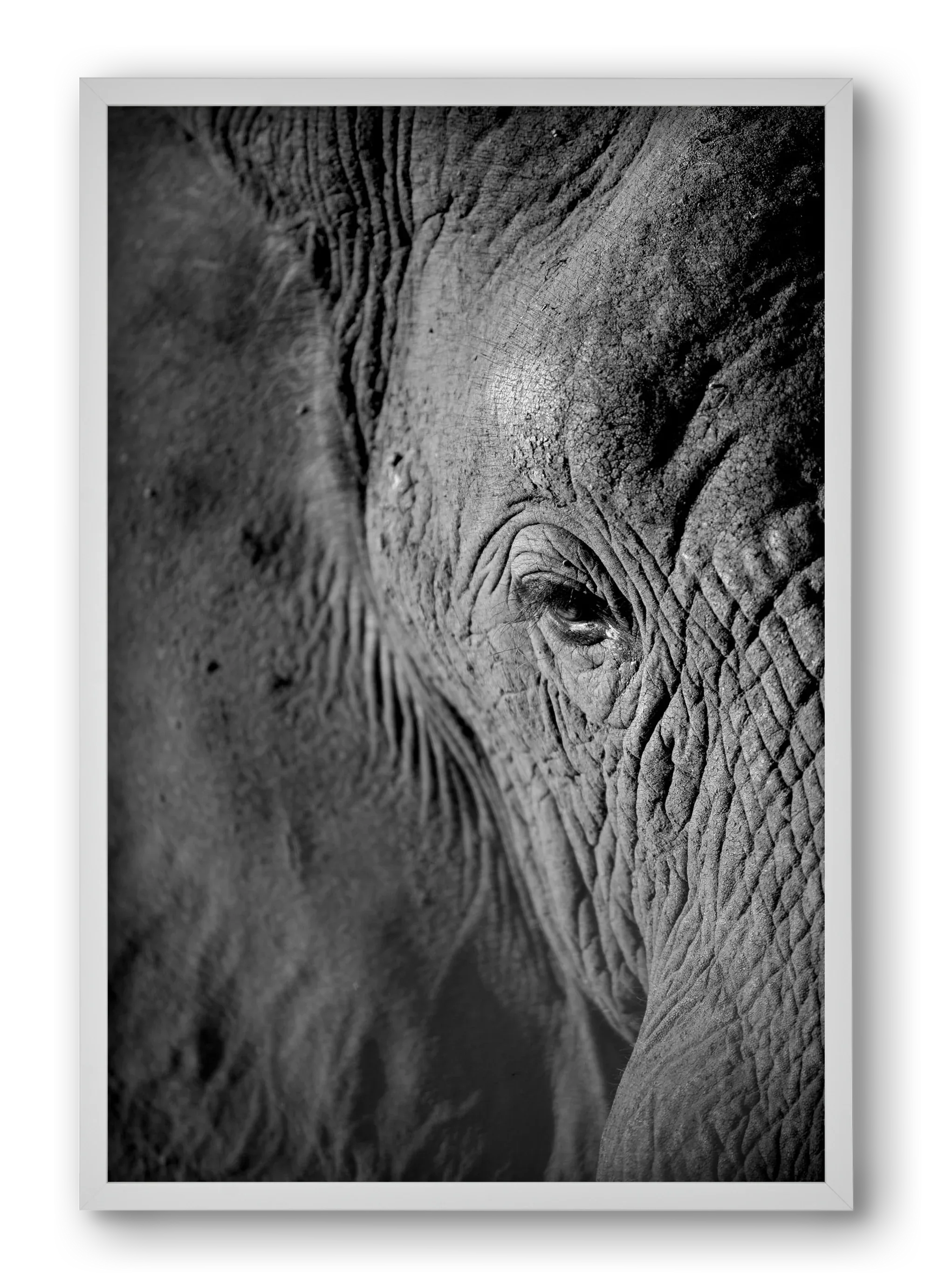 african dream - artbridge