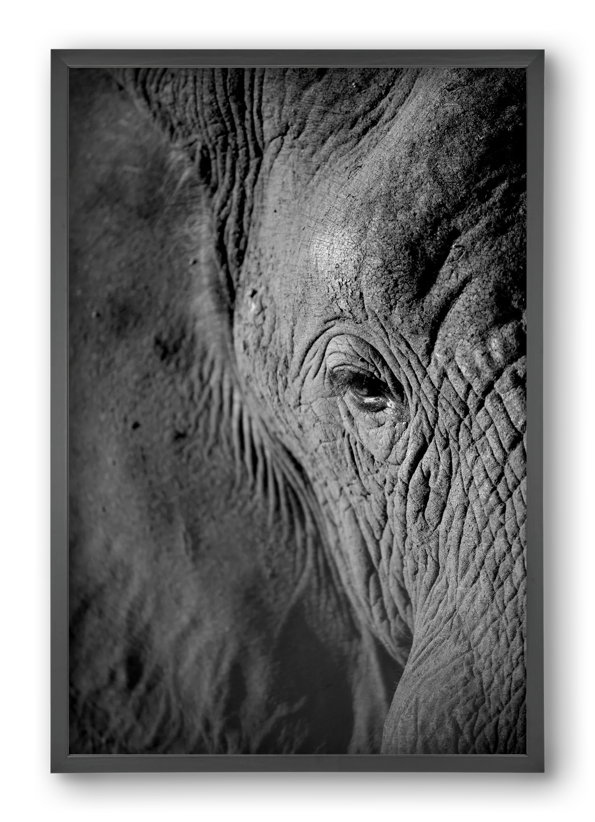 african dream - artbridge