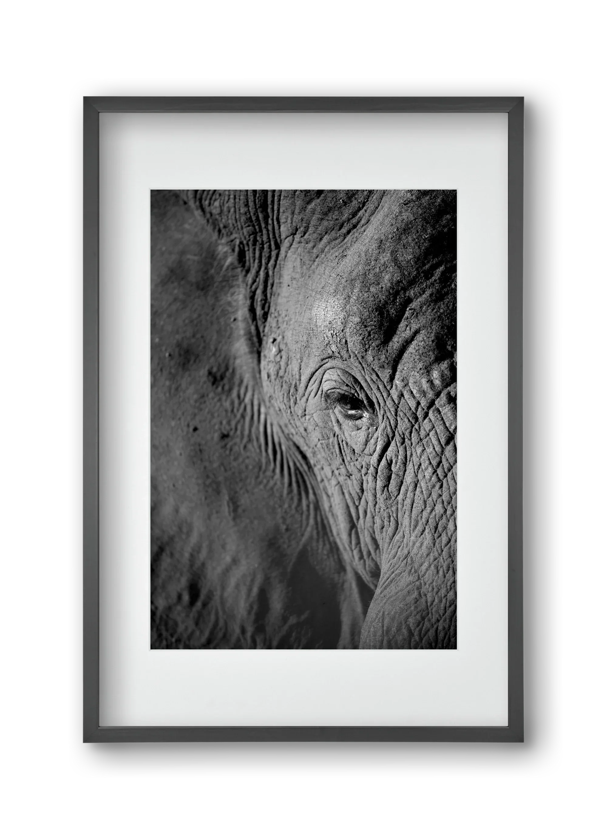 african dream - artbridge