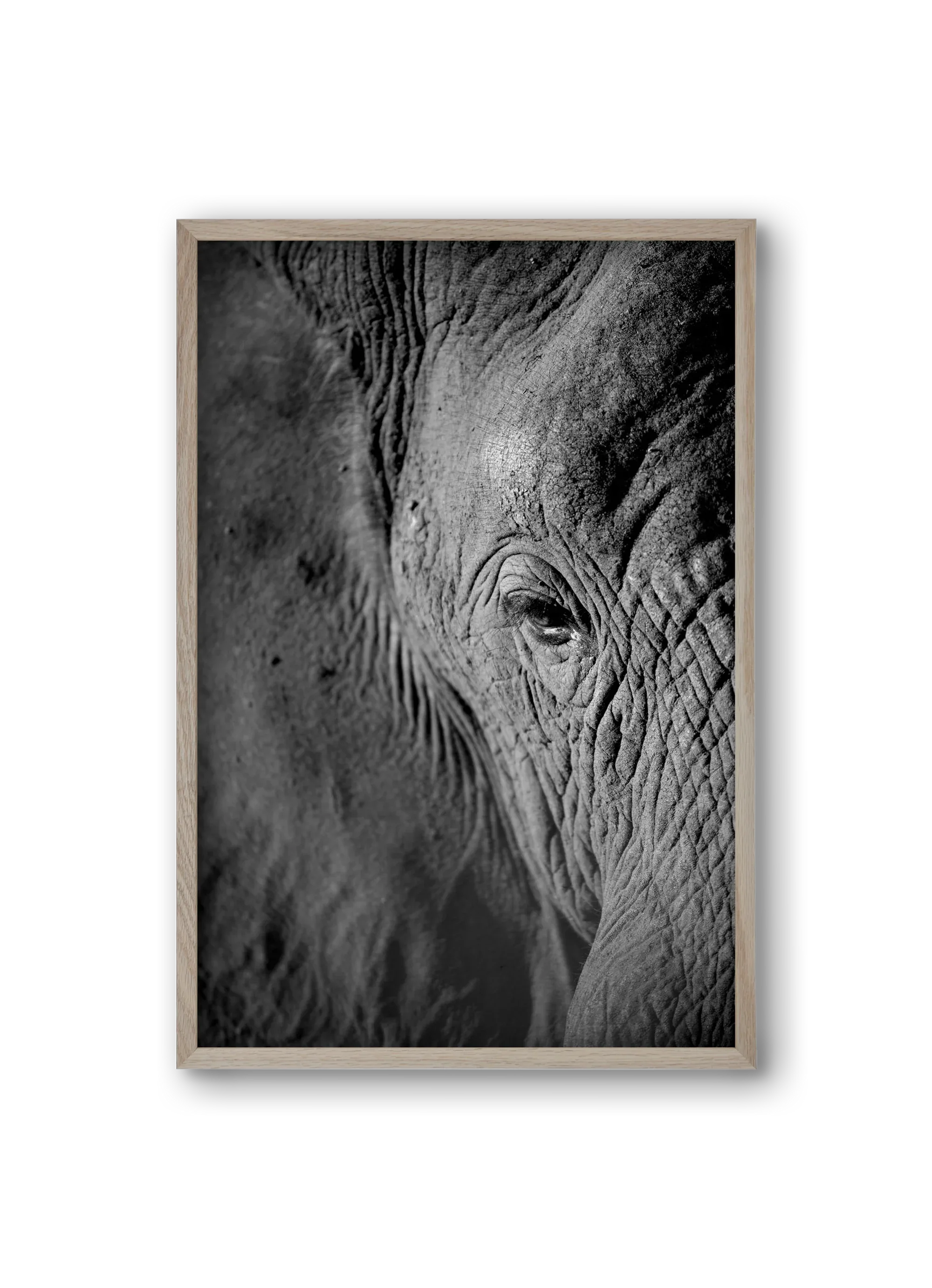 african dream - artbridge