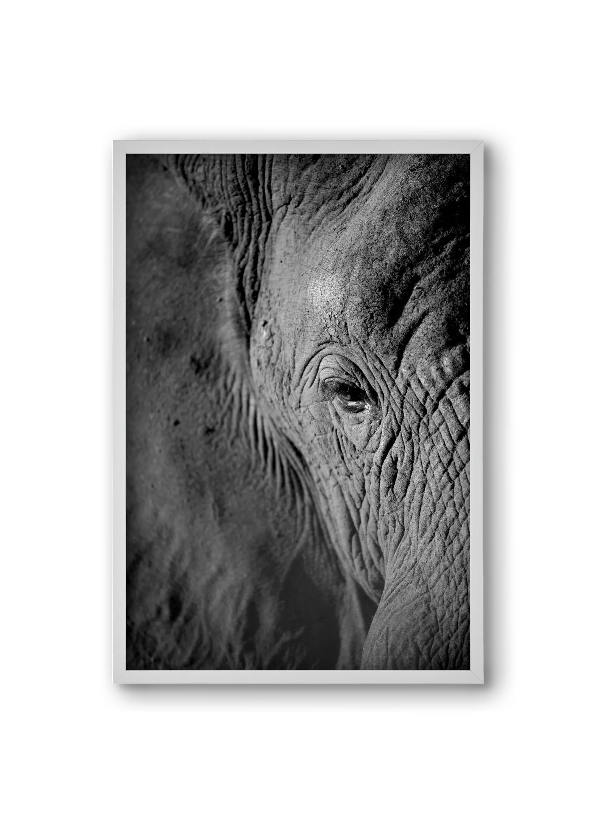 african dream - artbridge