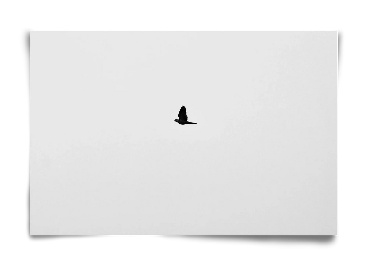 Sound - artbridge