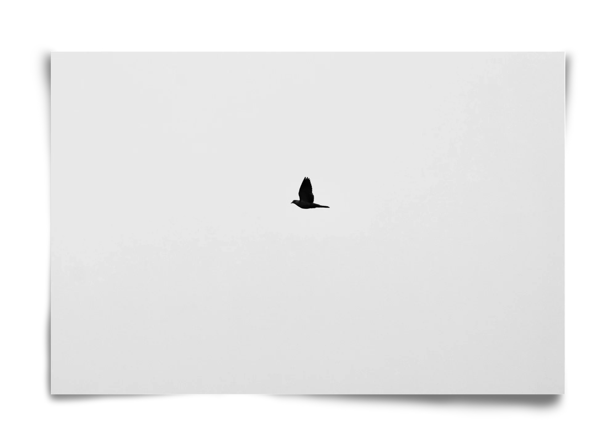 Sound - artbridge