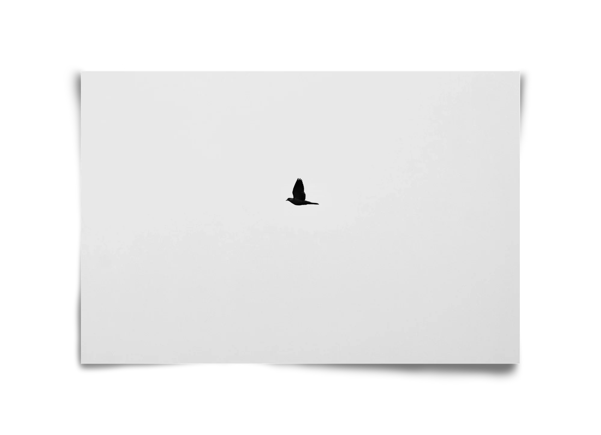 Sound - artbridge
