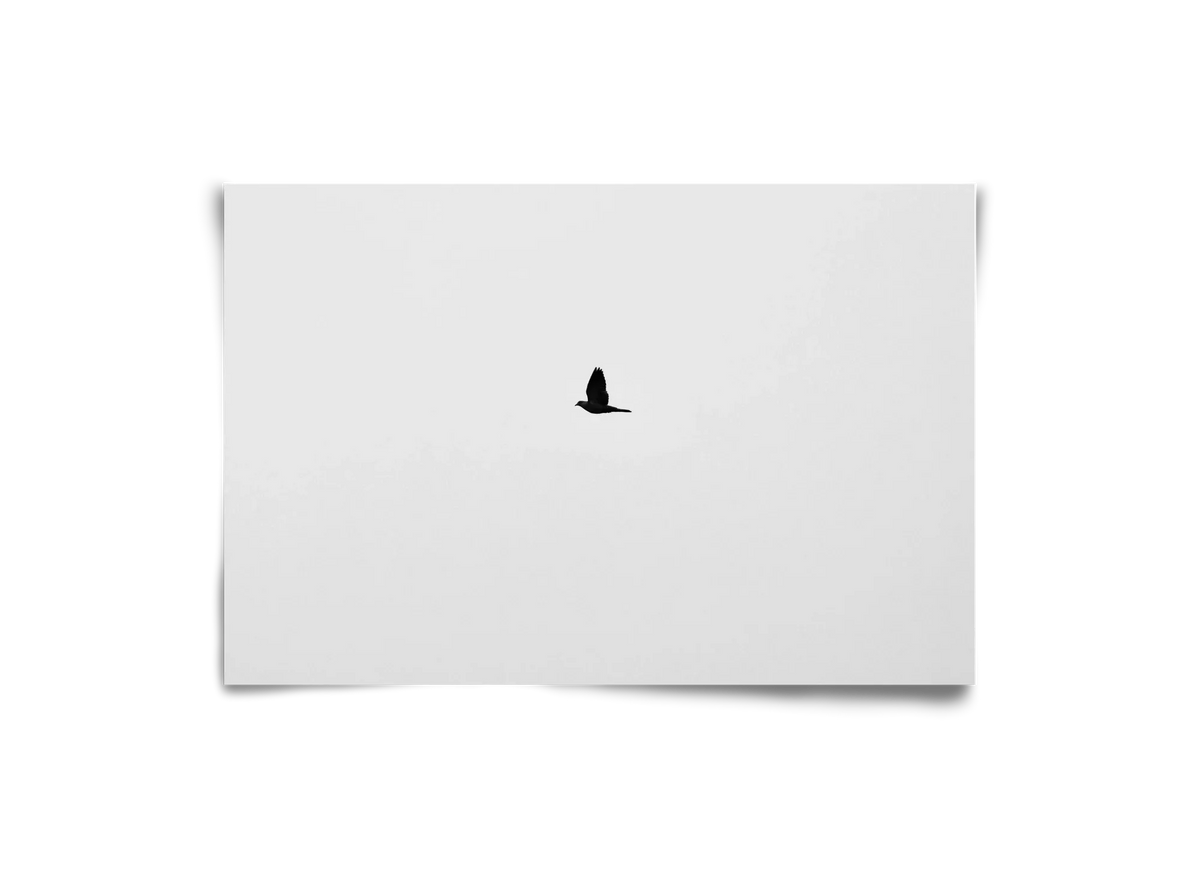 Sound - artbridge
